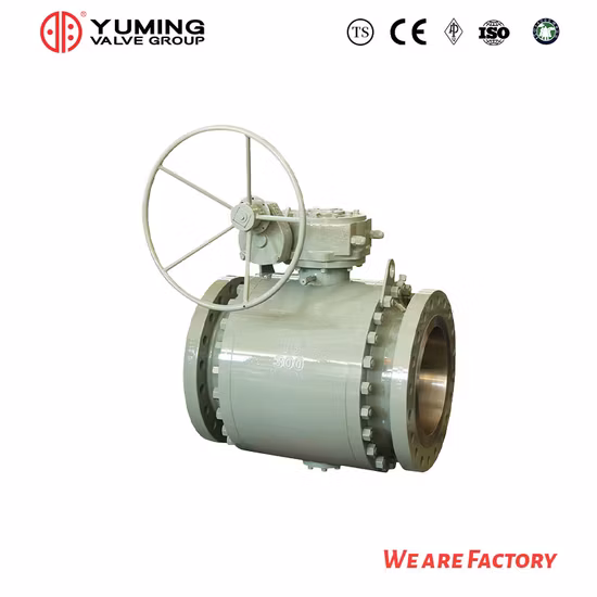 API 6D&API608 鋳鋼、Wcb、炭素鋼、ステンレス鋼 CF8、CF8m、A105/F304/F316 2PC フランジパイプライントラニオンマウントボールバルブ、ギア操作付き
